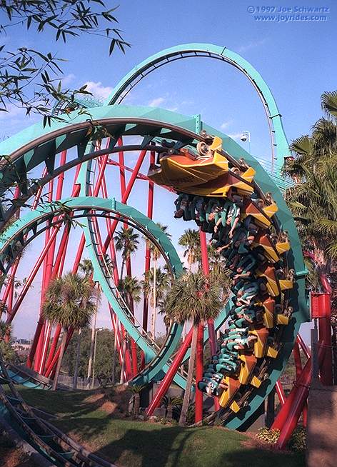 Kumba Busch Gardens Tampa Tampa Florida United States