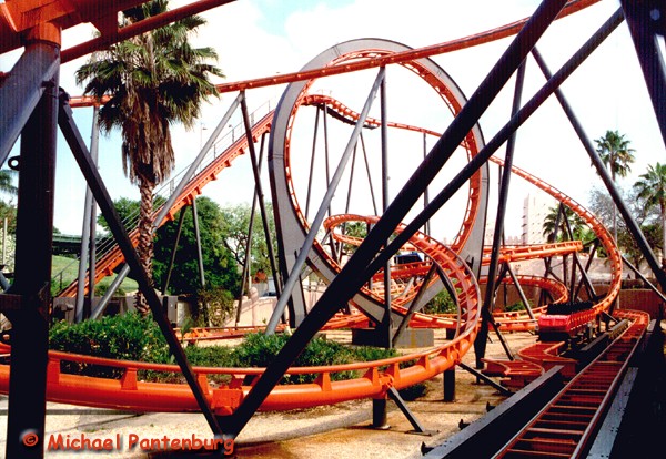 Scorpion Busch Gardens Tampa Tampa Florida United States