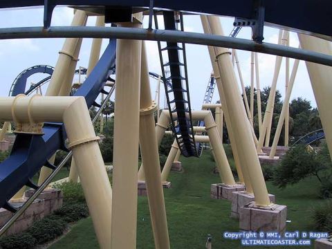 Montu - Busch Gardens Tampa (Tampa, Florida, United States)