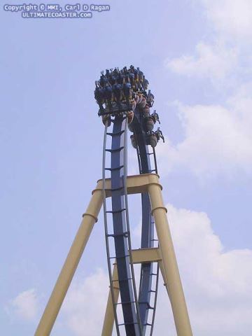 Montu - Busch Gardens Tampa (Tampa, Florida, United States)