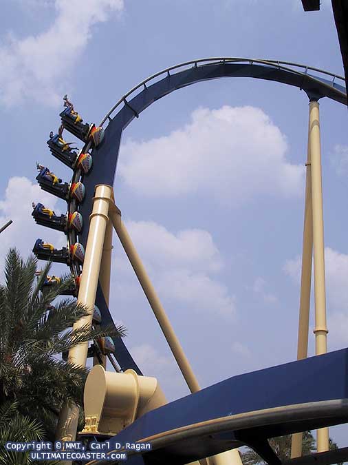 Montu - Busch Gardens Tampa (Tampa, Florida, United States)