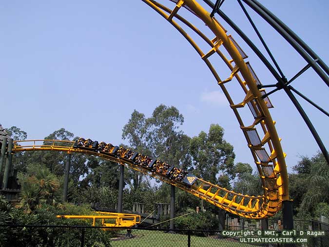 Python (Busch Gardens Tampa Bay) - Wikipedia