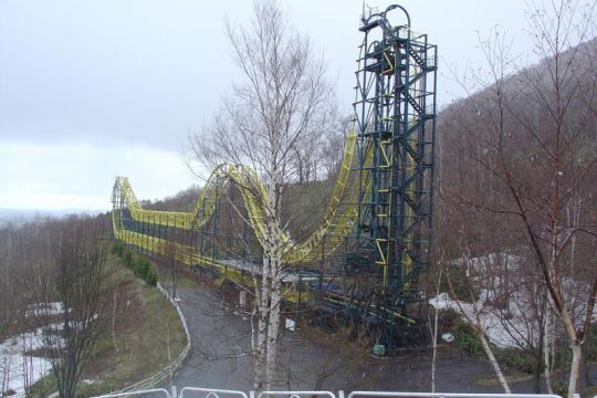 コロッサル・ユース('06ポルトガル/仏/スイス) トレス・クルージャス・バスタルド/Tres Corujas Bastaldo 2022