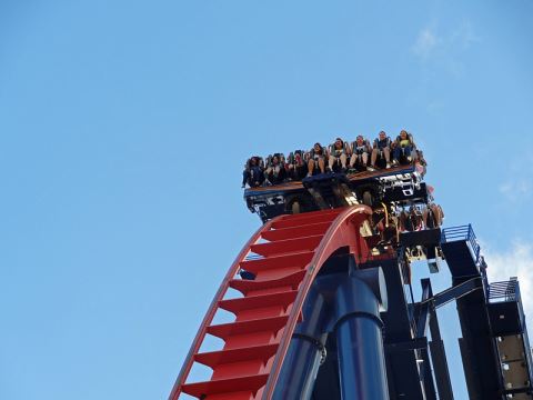 SheiKra - Busch Gardens Tampa (Tampa, Florida, United States)