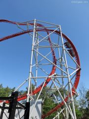 Sky Scream Roller Coaster DataBase