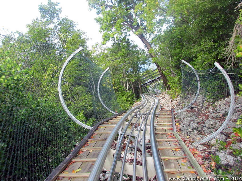 Dragon s Tail Coaster Adventure Ocean Oasis Labadee Nord Haiti