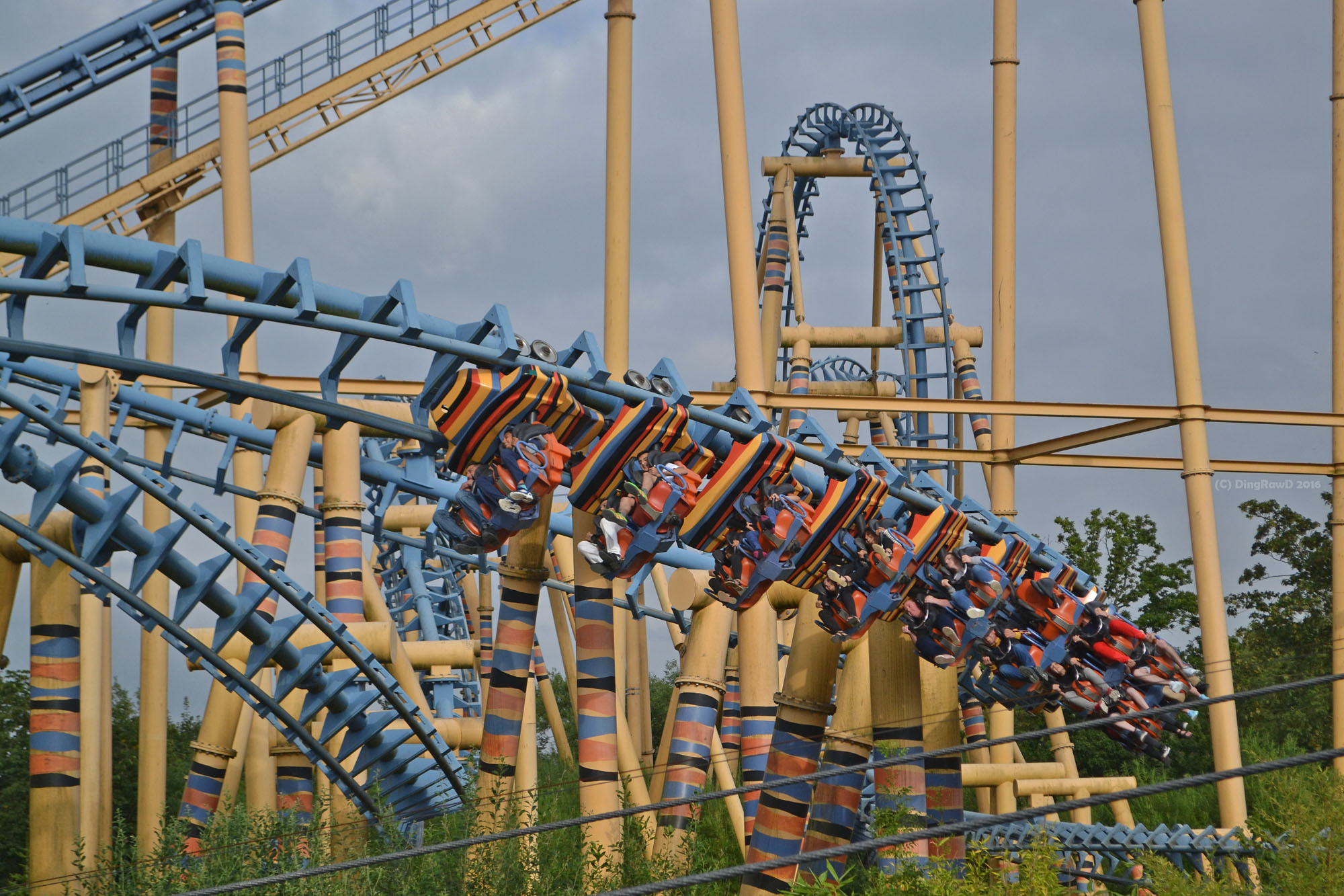 Kumali Flamingo Land Malton North Yorkshire England United