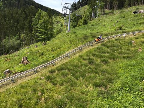 Alpine Coaster Kolbensattel Oberammergau Bavaria Germany