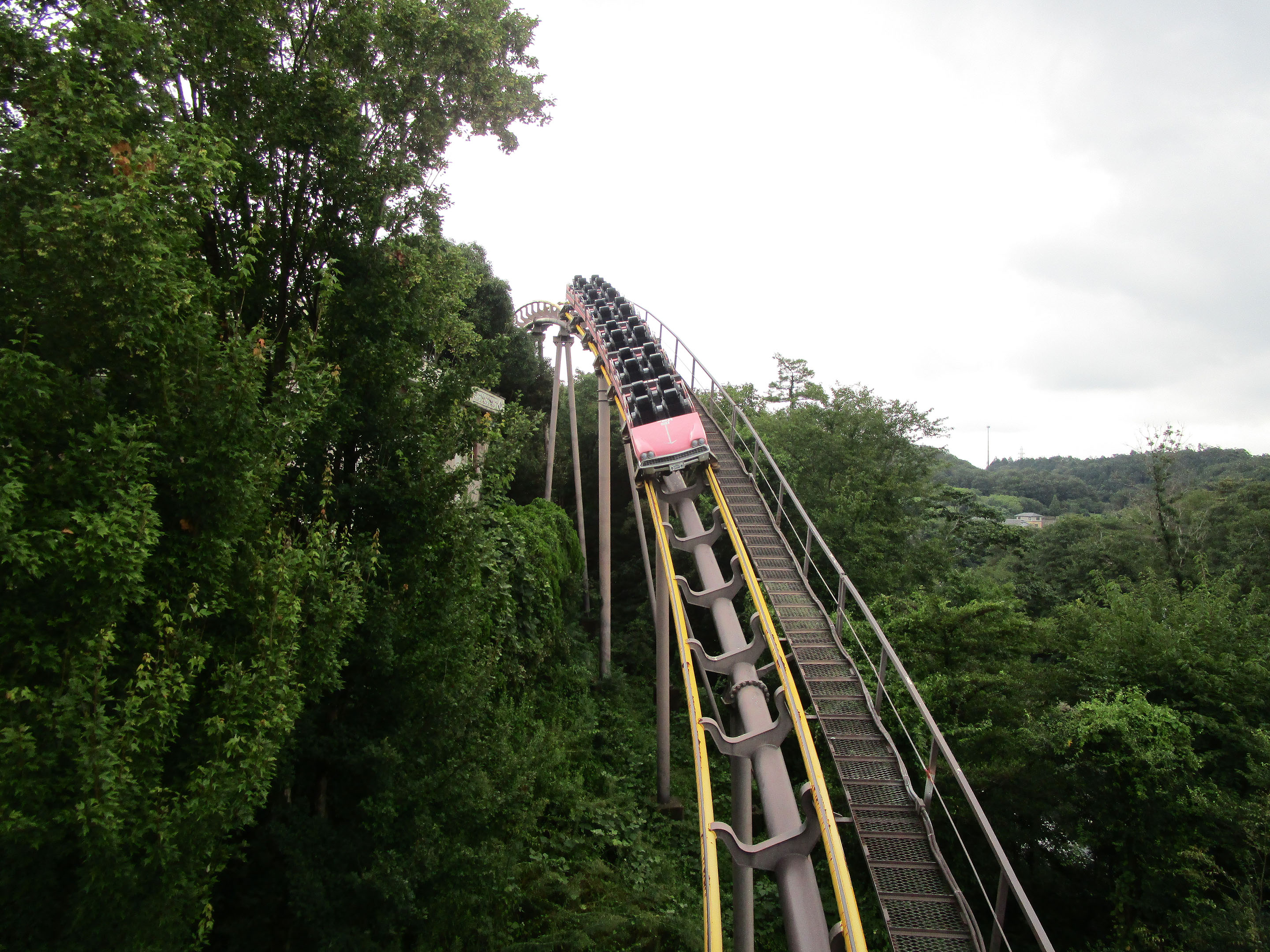 Highway Coaster - Japan Monkey Park (Inuyama, Aichi, Japan)