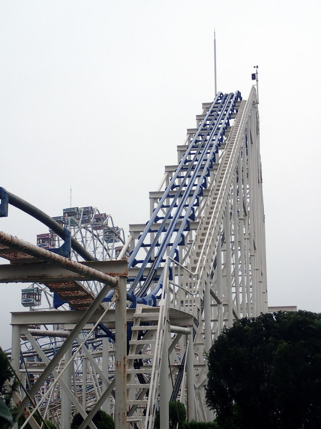 ヨビニオンマルル ヨビニオン・マルル デュエマ】 ヨビニオン・マルル DM24RP3/SR