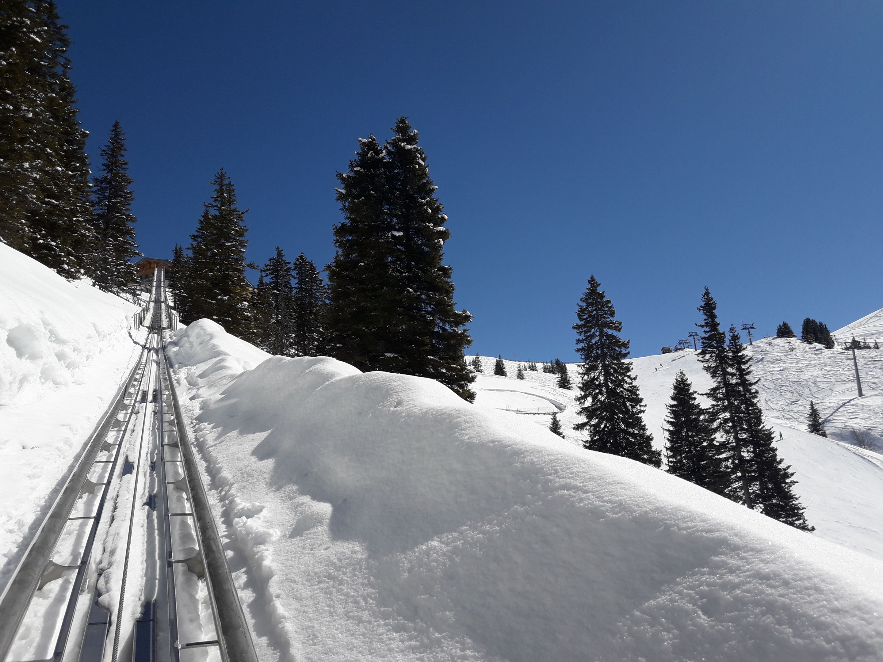 Alpbachtaler Lauser Sauser Ski Juwel Alpbachtal Wildsch nau