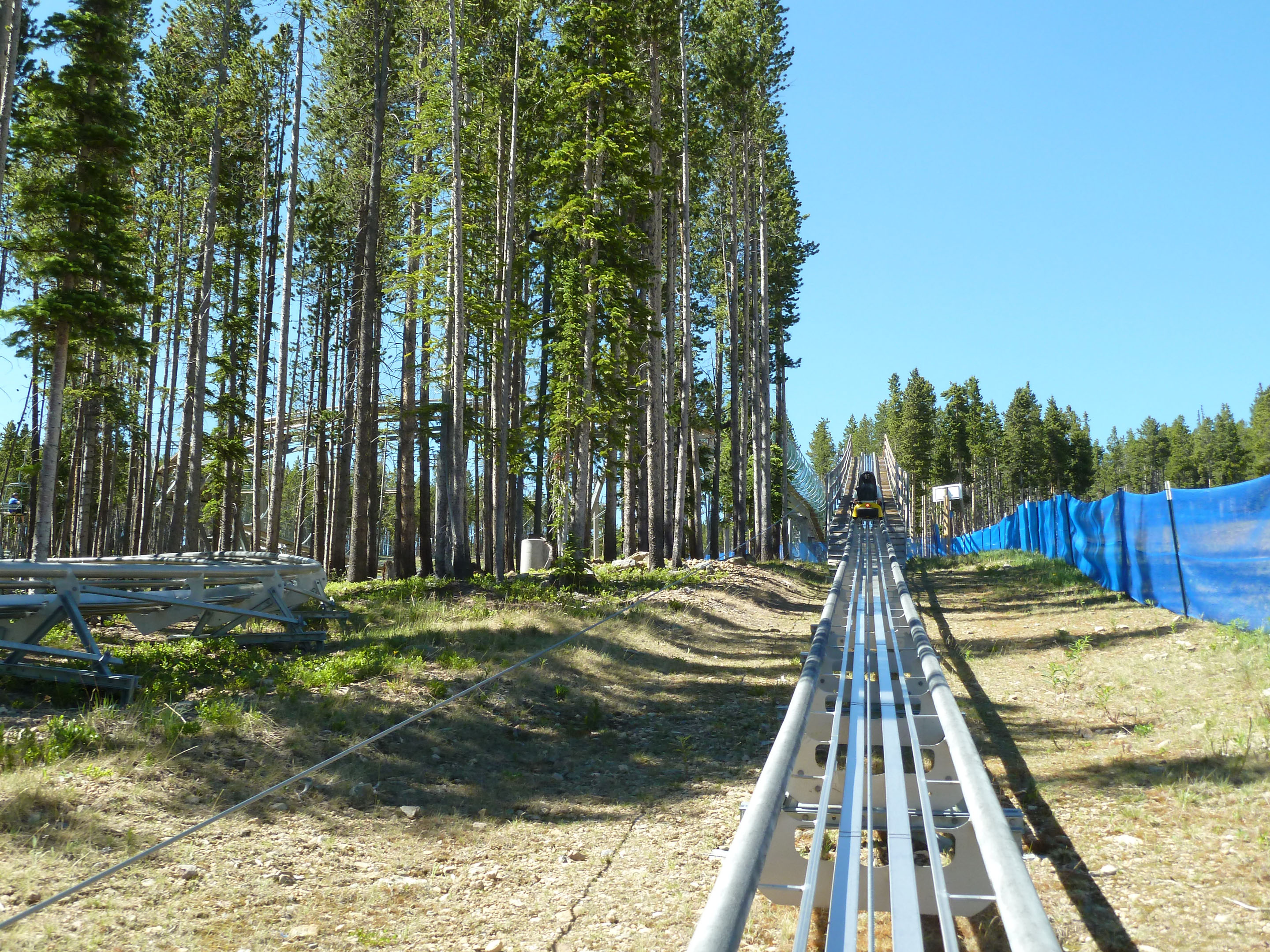 Gold Runner Alpine Coaster Breckenridge Ski Resort Breckenridge