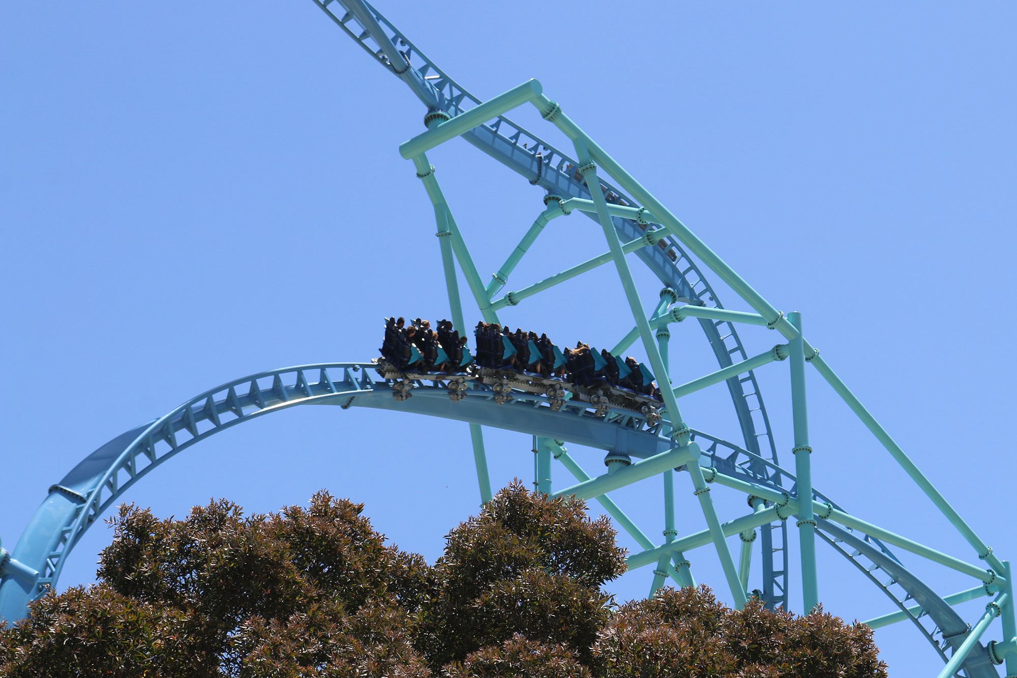 Desconfianza Escribe email Imbécil roller coaster database homosexual