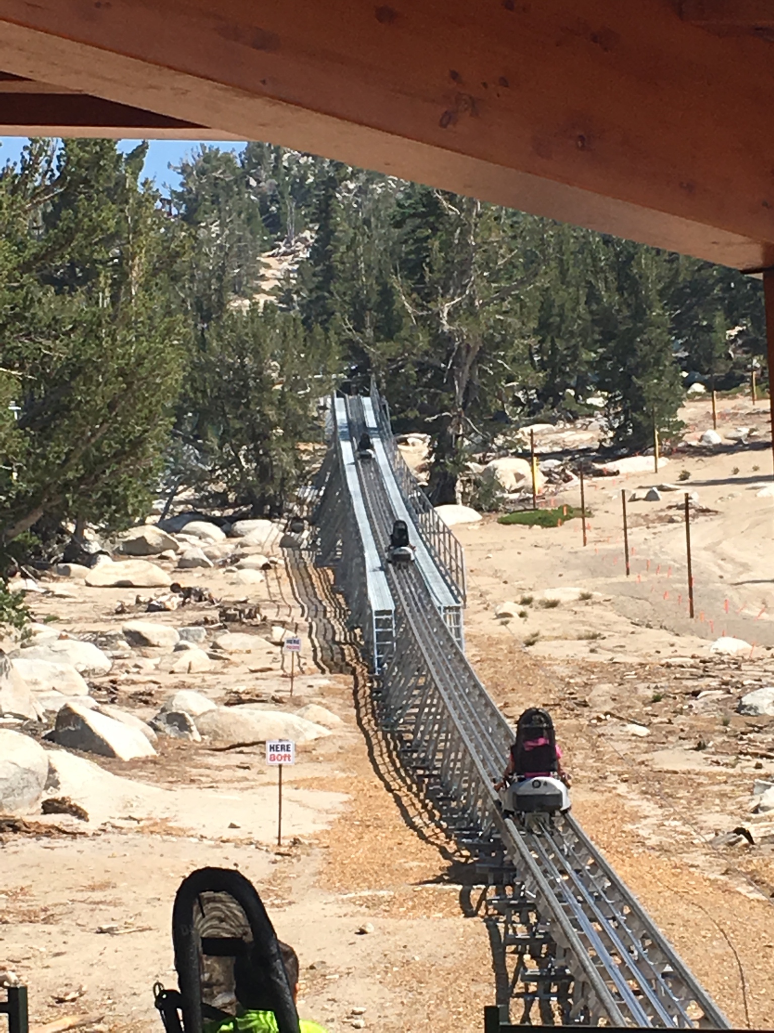 ridge rider mountain coaster tahoe