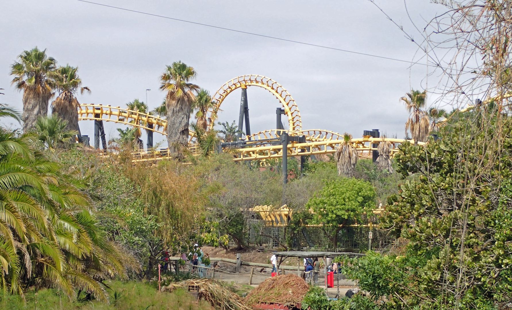 Cobra Ratanga Junction Cape Town Western Cape South Africa