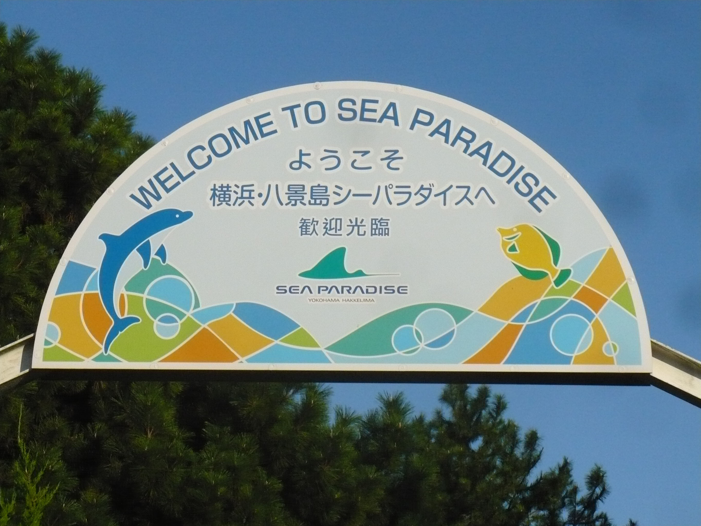 波のパラダイス 303×JunJo | 303 SURFBOARDS | スリーオースリー オフィシャルサイト