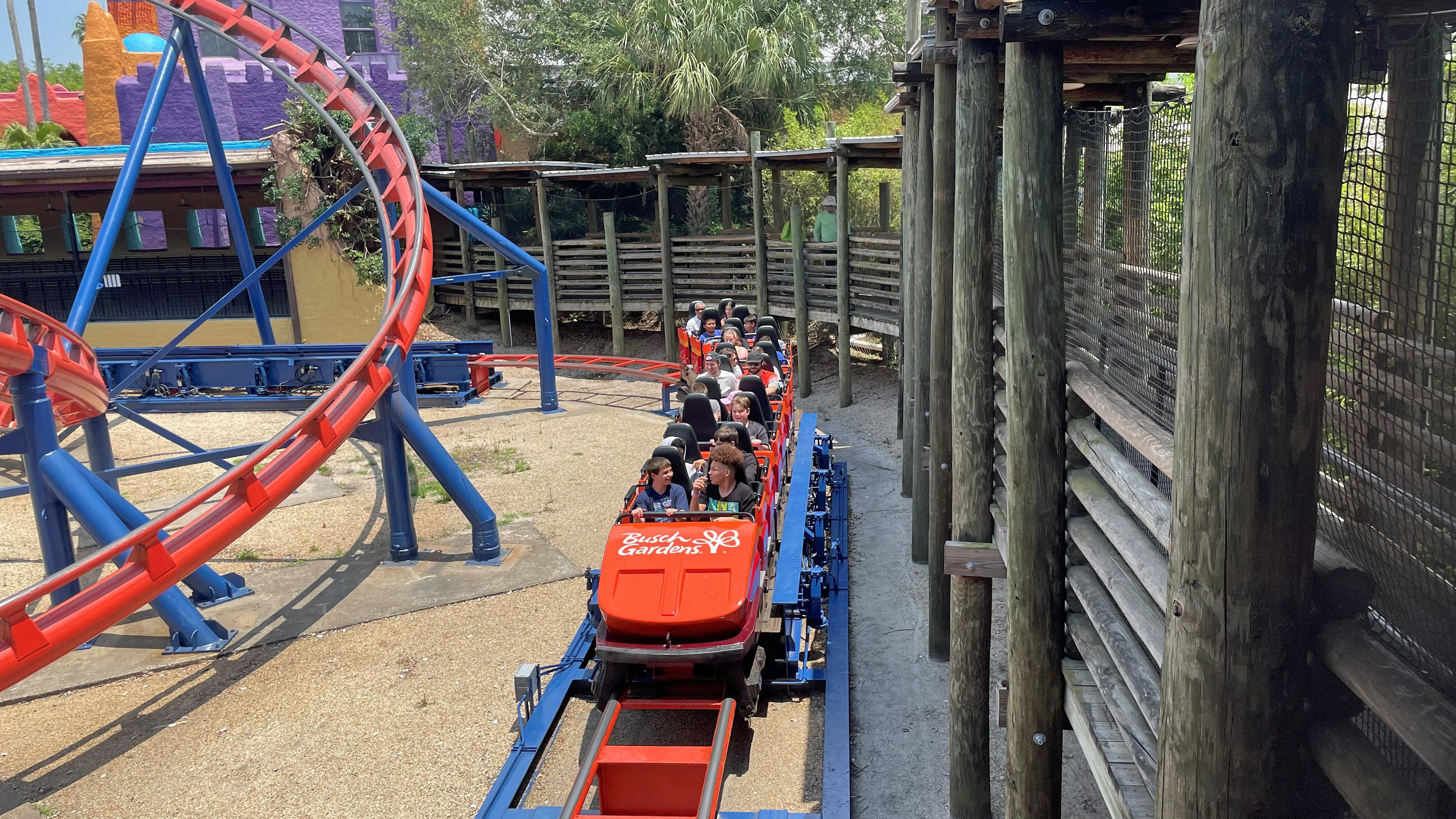 The Scorpion Rollercoaster at Busch Gardens Tampa Florida USA with