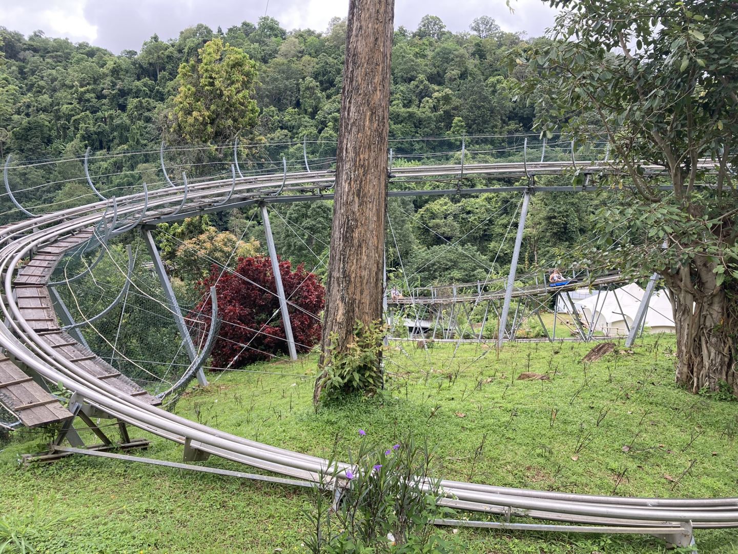 Jungle Coaster Pongyang Adventure Park Mae Rim Chiang Mai