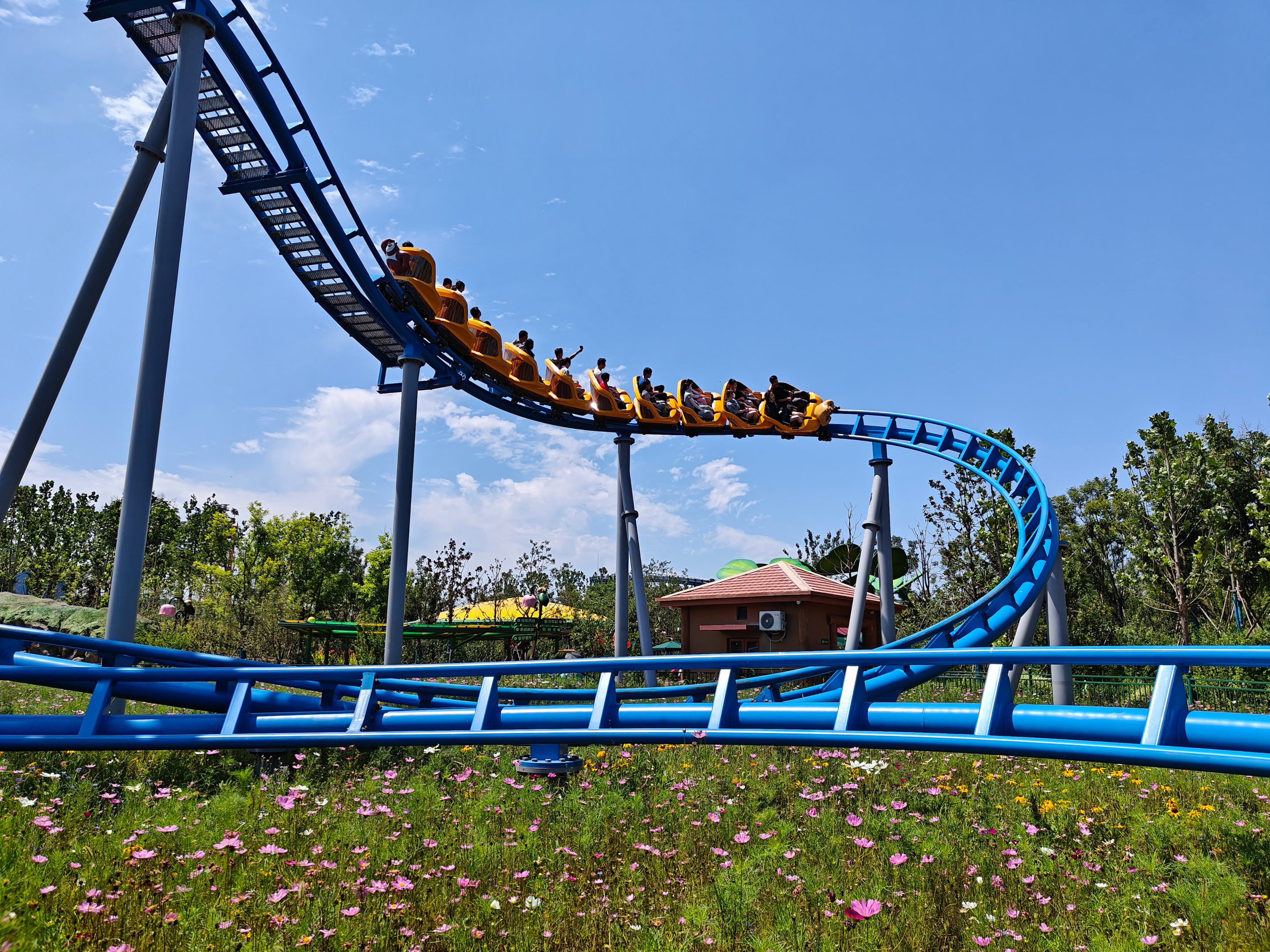 DREAM WORLD FORTPEAT 彼岸 Fort・Peatタイプ mt. everest: Fight at height of 8848 feet on Mt. Everest and